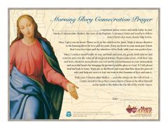 Morning Glory Consecration Certificate