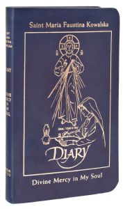 Deluxe Leather Blue Diary