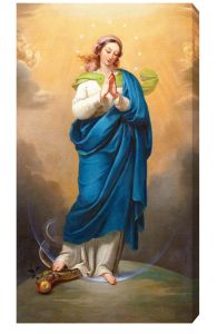 The Immaculate Conception 10 x 18 Canvas Image