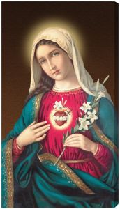 Immaculate Heart of Mary 10 x 18 Canvas, Gallery Wrap image