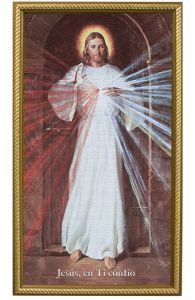 Spanish Skemp Divine Mercy, 10X18, Canvas, Gold Frame
