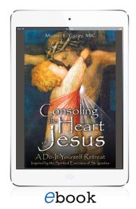 Consoling the Heart of Jesus eBook