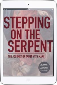 Stepping On The Serpent (eBook version)