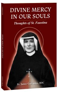 Divine Mercy in Our Souls: Thoughts of St. Faustina