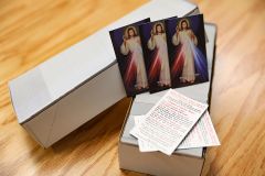 Hyla Divine Mercy Prayercard Bundles