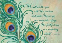 Peacock Feather Sympathy Card
