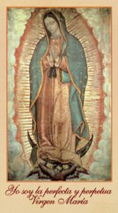 Our Lady of Guadalupe Prayer Card, Spanish