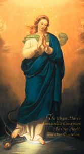 Immaculate Conception Chaplet of the 10 Evangelical Virtues of the Blessed Virgin Mary Prayer Card